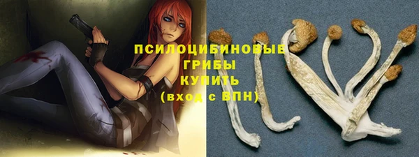 прущая мука Армянск