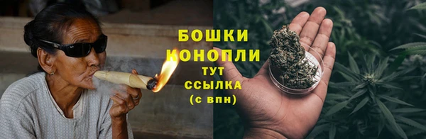 ГАЛЛЮЦИНОГЕННЫЕ ГРИБЫ Аркадак