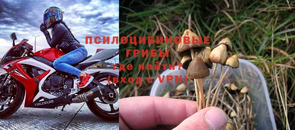 ГАЛЛЮЦИНОГЕННЫЕ ГРИБЫ Аркадак