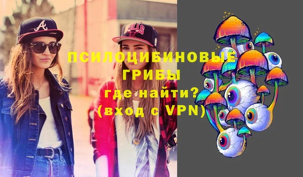 ГАЛЛЮЦИНОГЕННЫЕ ГРИБЫ Аркадак