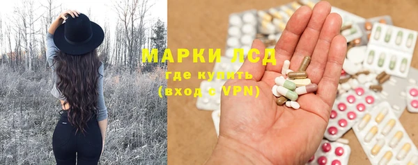 ГАЛЛЮЦИНОГЕННЫЕ ГРИБЫ Аркадак