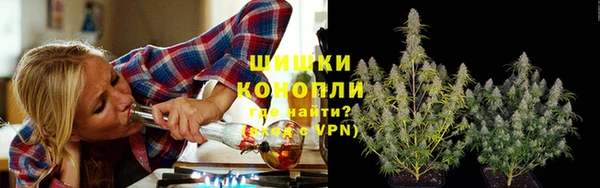 ГАЛЛЮЦИНОГЕННЫЕ ГРИБЫ Аркадак