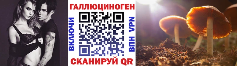 блэк спрут ССЫЛКА  Лиски  Галлюциногенные грибы GOLDEN TEACHER 